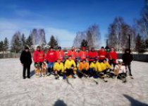 Хоккей с шайбой, посвященный Дню защитника Отечества 